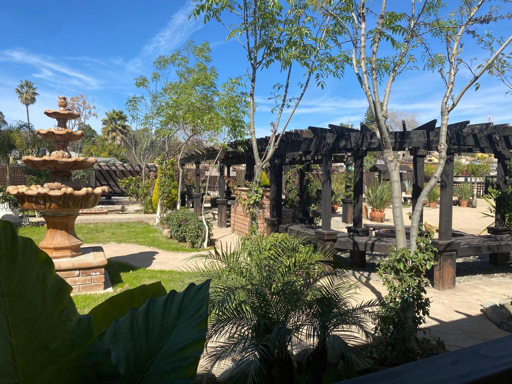 Hotel Estancita Elena Valle de Guadalupe Esterno foto