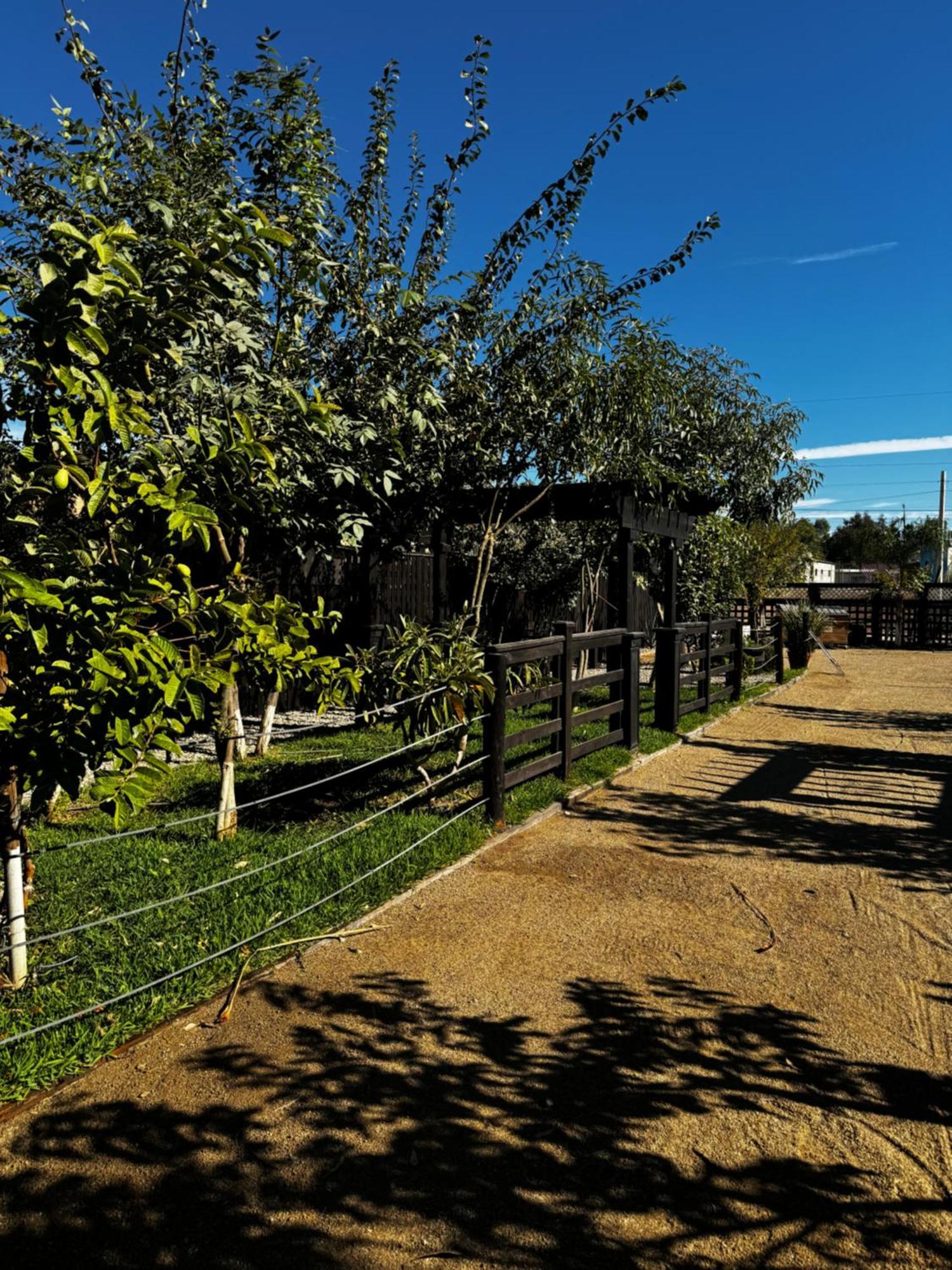 Hotel Estancita Elena Valle de Guadalupe Esterno foto